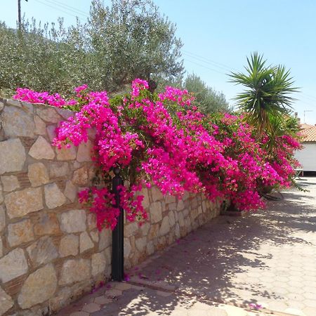 Villa Bamour With Paradise View Epidaurus المظهر الخارجي الصورة