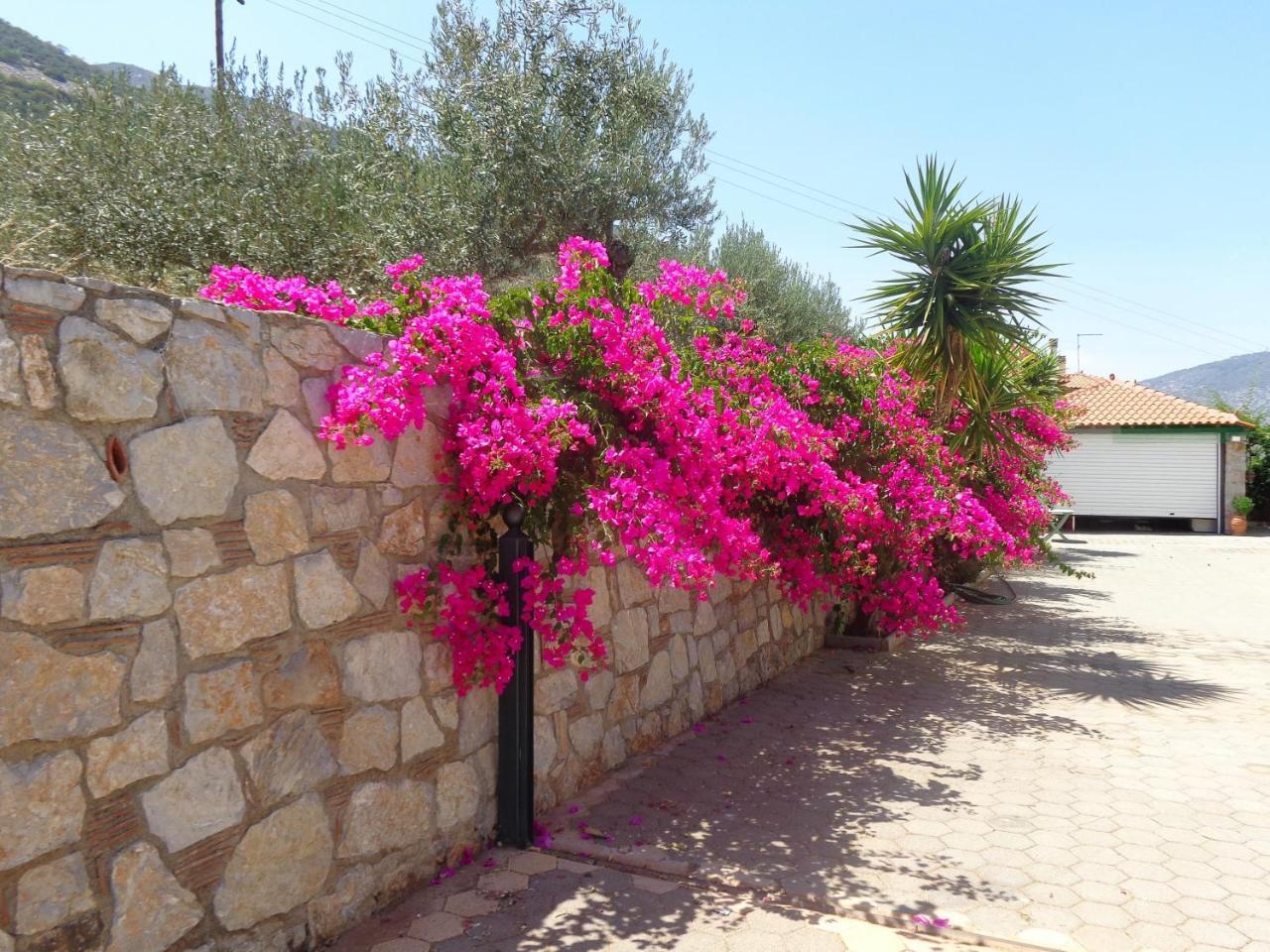 Villa Bamour With Paradise View Epidaurus المظهر الخارجي الصورة